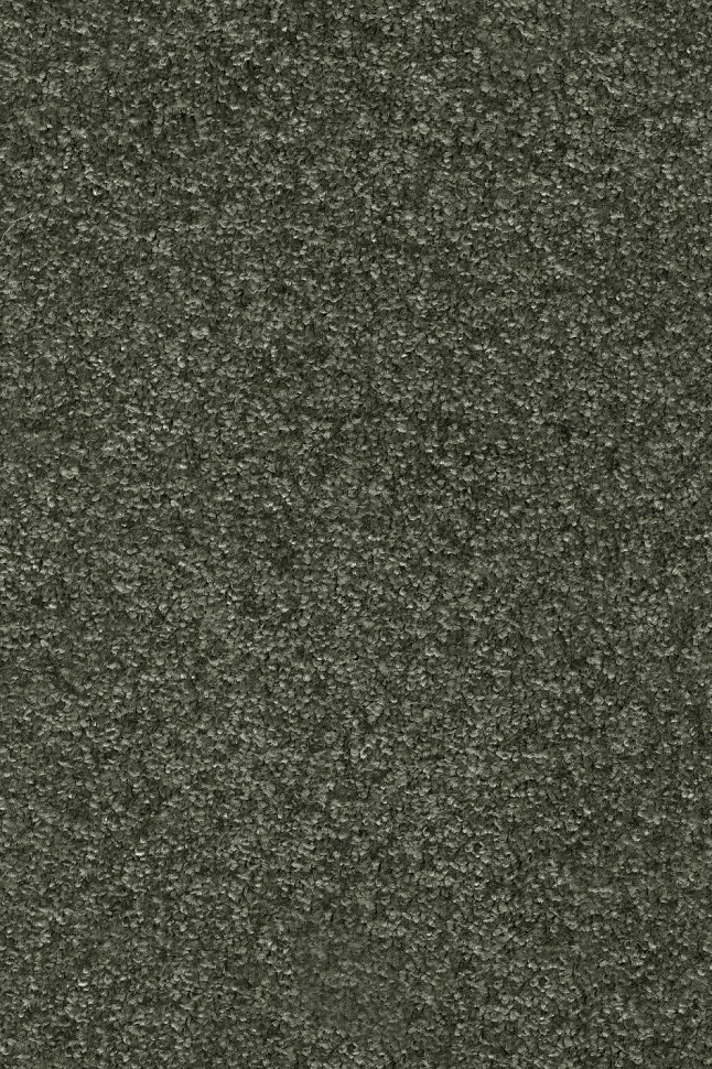 Ковролин Masquerade Porzia 24 Ковролин Masquerade Porzia 24