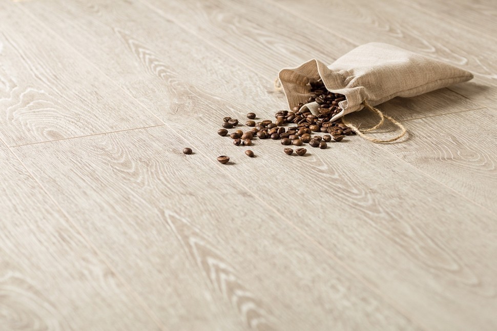 3491 Ceylon Oak 3491 Ceylon Oak