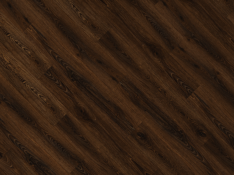 Дуб африканский SPC 2210 Дуб африканский SPC 2210