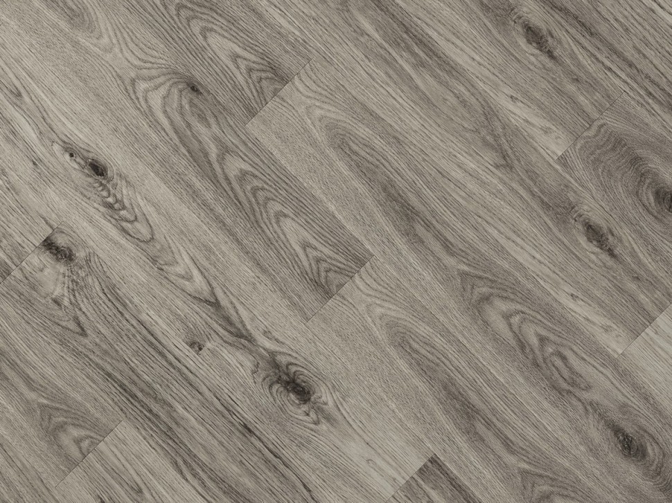 895 Windsor Oak 895 Windsor Oak