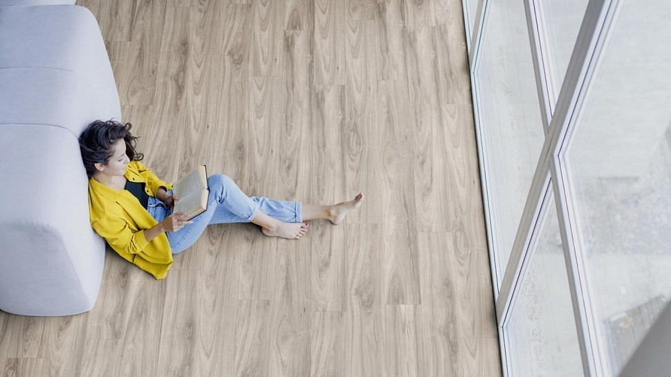 Акация Blackwood Merida K5753 Акация Blackwood Merida K5753