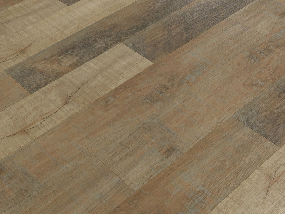 SPC 8806 Дуб античный SPC 8806 Дуб античный