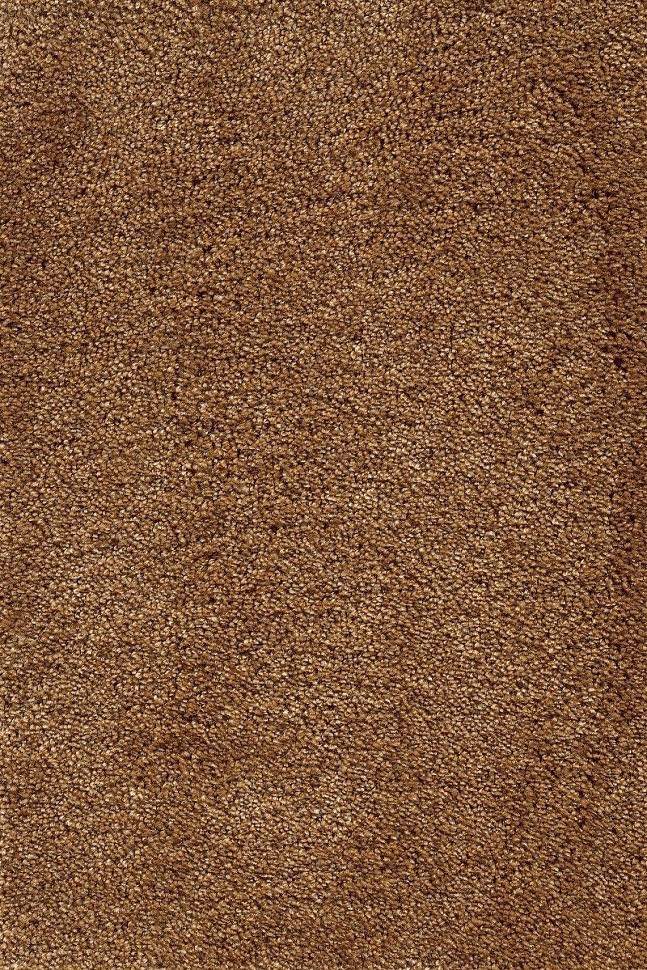 Ковролин Masquerade Fedone 48 Ковролин Masquerade Fedone 48