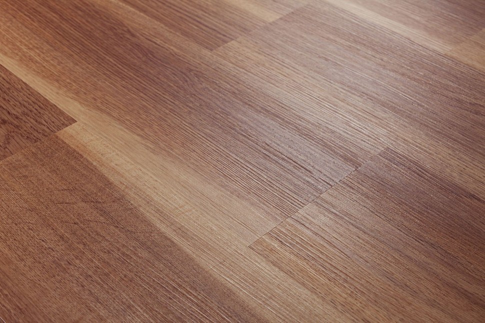 AF5504 GLUE AF5504 GLUE