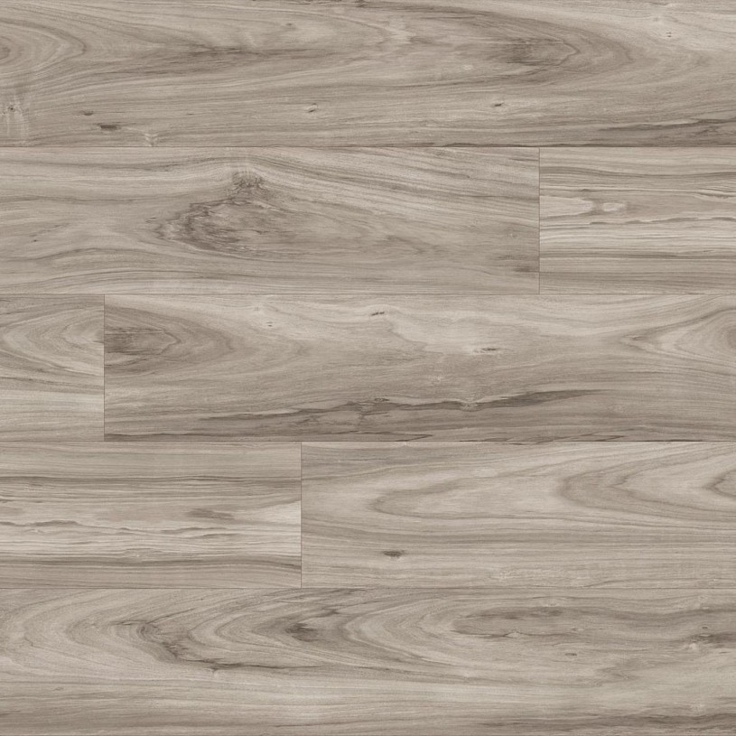 Акация Blackwood Merida K5753 Акация Blackwood Merida K5753