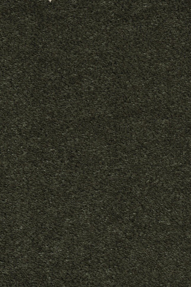 Ковролин Masquerade Euphoria 24