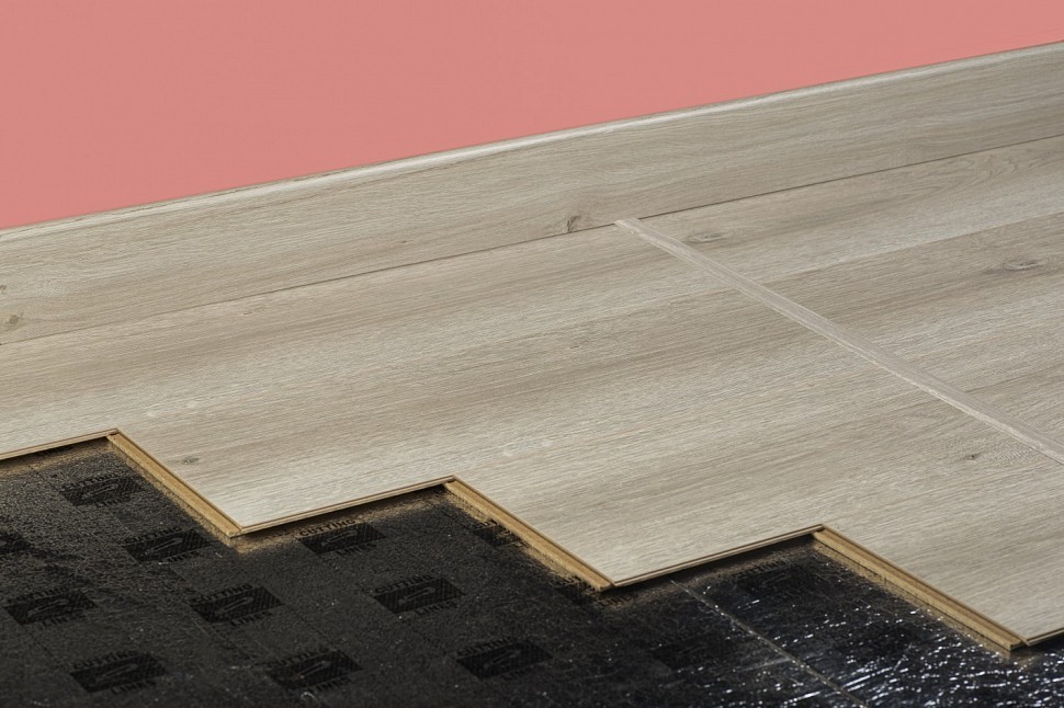 4567 Capricorn Oak 4567 Capricorn Oak