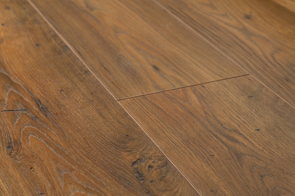 3342 Blues Chestnut 3342 Blues Chestnut