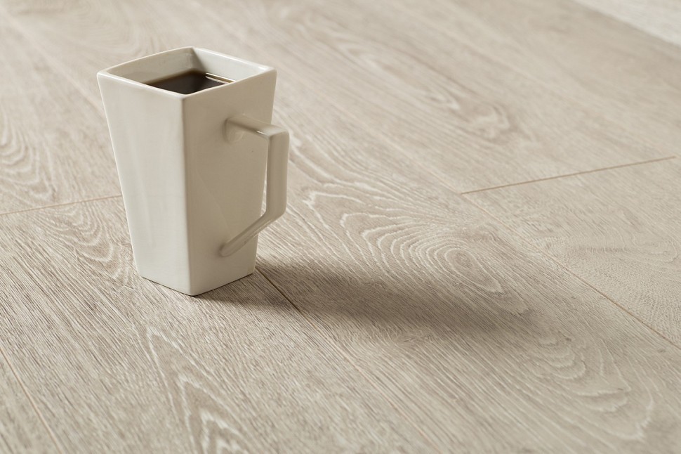 3491 Ceylon Oak 3491 Ceylon Oak