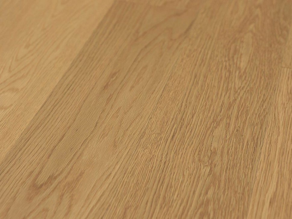 Дуб Aureo Дуб Aureo