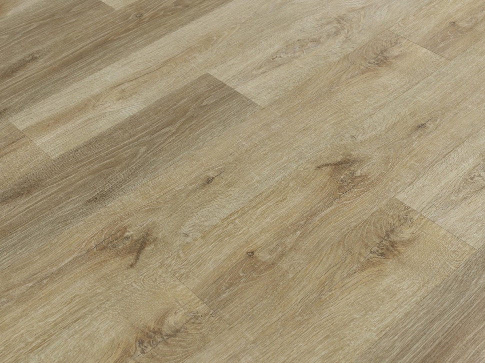 SPC 8804 Дуб желтый