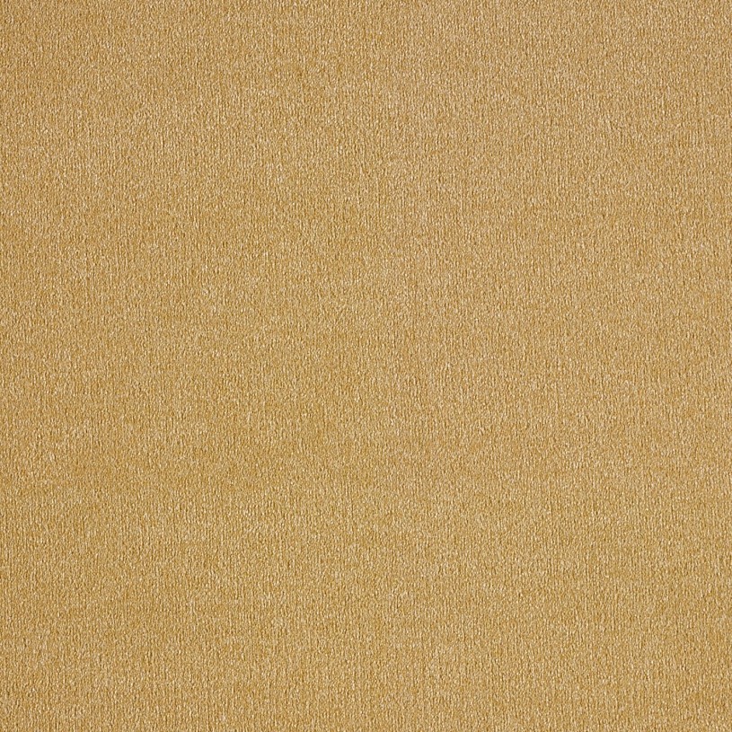 Бытовой ковролин AW Sentiment 54