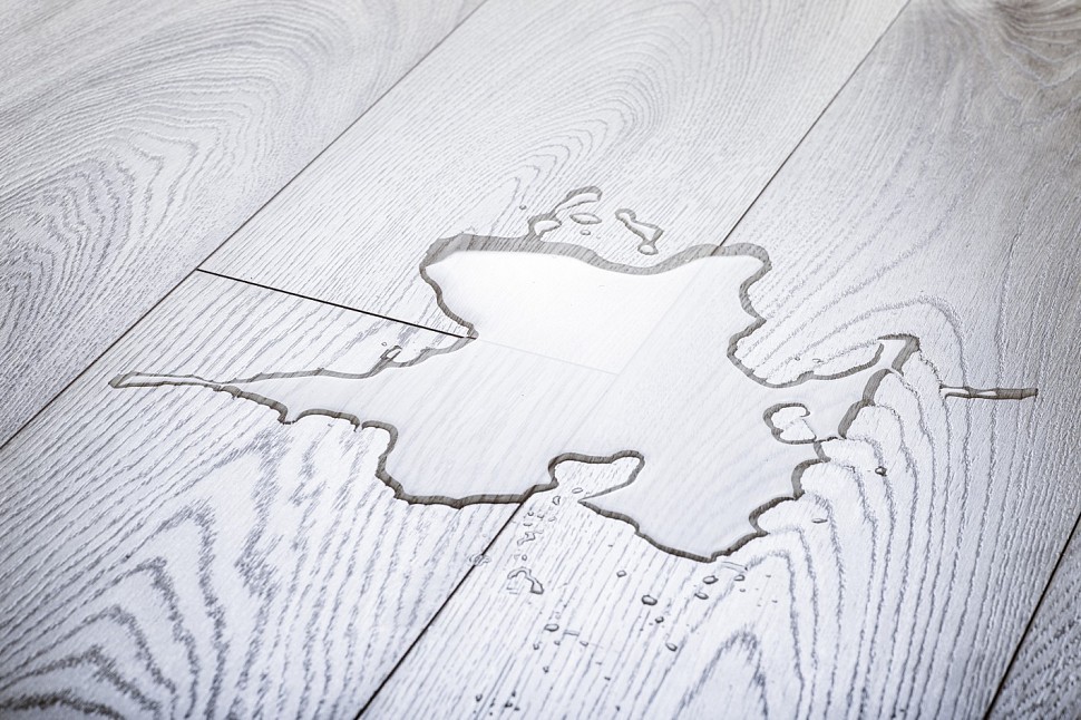 D4575 Дуб Peacock