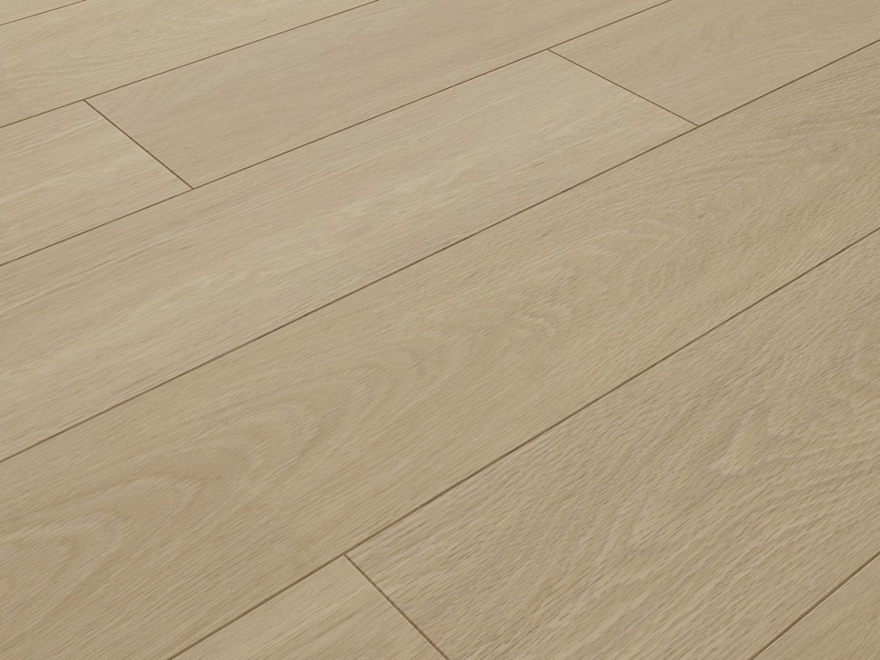 SPC 3307 Дуб кардамон SPC 3307 Дуб кардамон