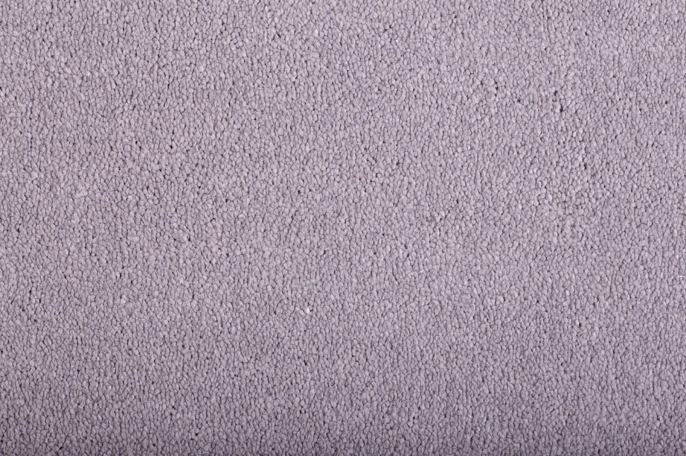 Elegance 17 Elegance 17