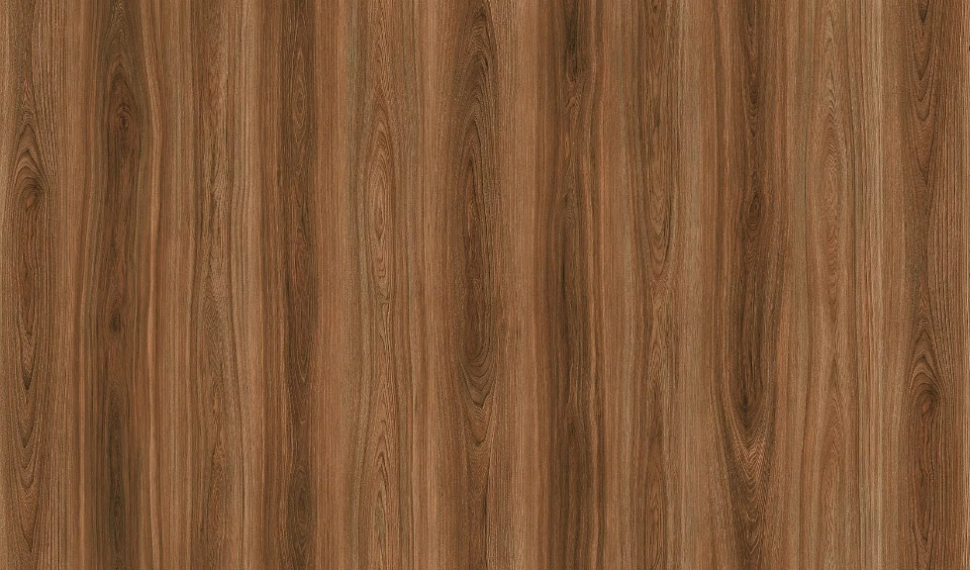 Ясень Аламо