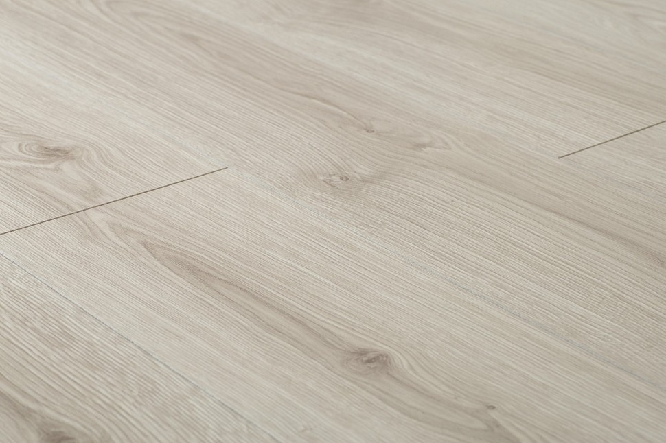 3334 Impresion Chesnut