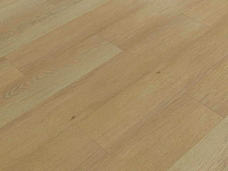 SPC 6610 Дуб золотистый SPC 6610 Дуб золотистый