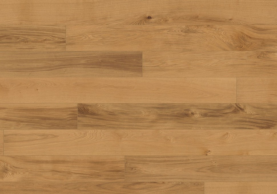 Дуб Бургундия (Burgundy)