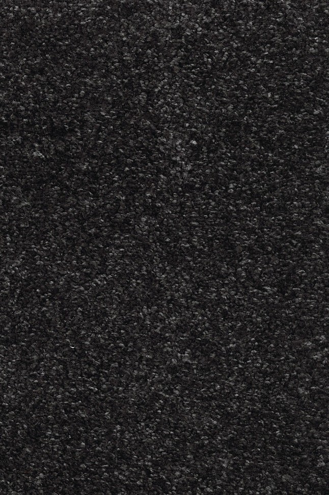 Ковролин Masquerade Costanza 99 Ковролин Masquerade Costanza 99