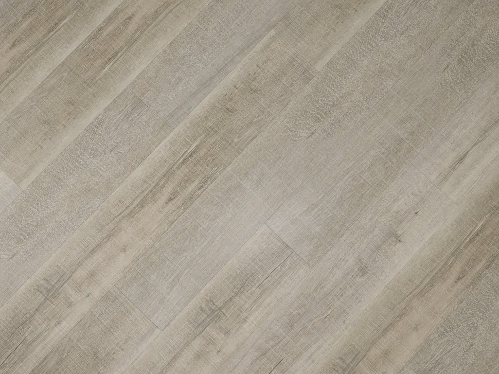 SPC 6613 Дуб платиновый SPC 6613 Дуб платиновый