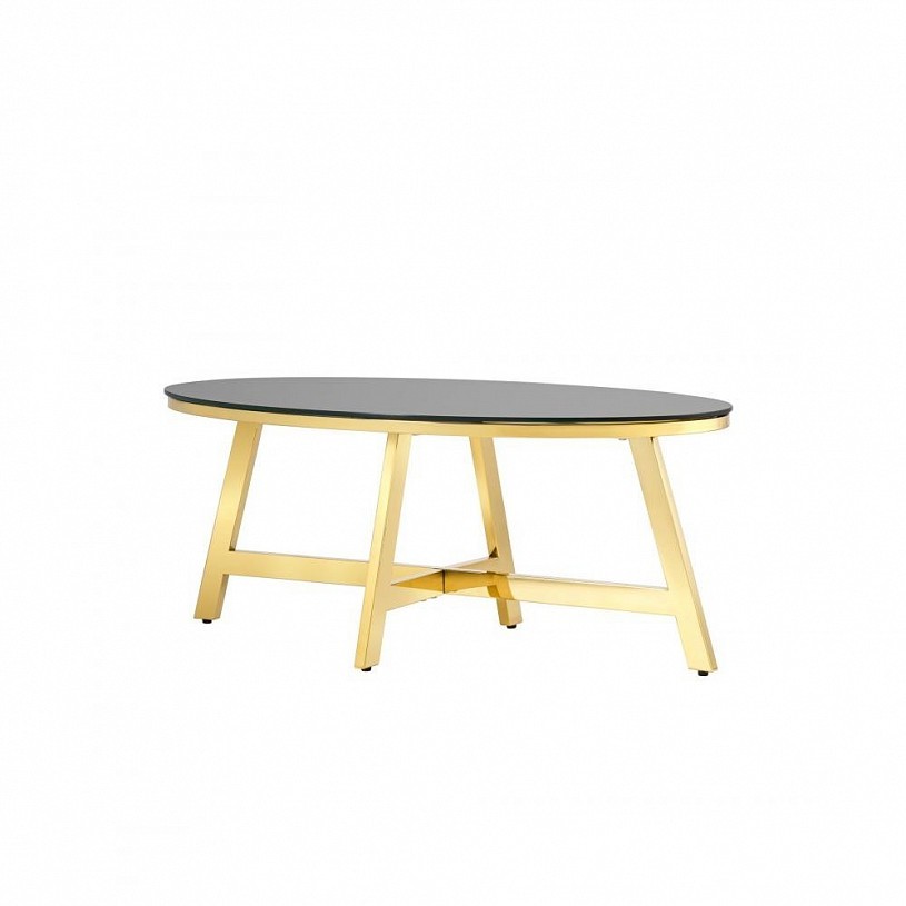 Журнальный стол 100*50 АЛЬБА, стекло черное, сталь золото Журнальный стол 100*50 АЛЬБА, стекло черное, сталь золото