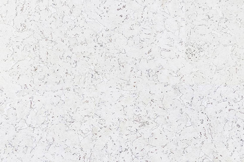 MONTE SNOW MONTE SNOW