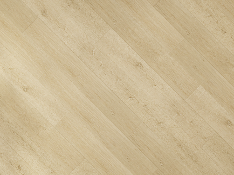 Дуб северный SPC 2205 Дуб северный SPC 2205