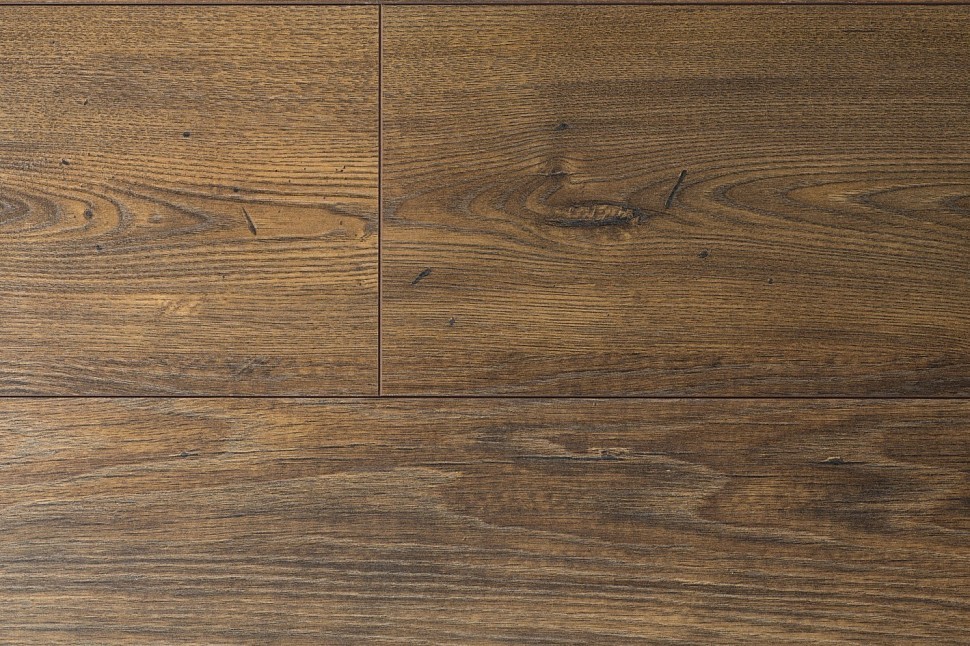 3347 Leonardo Oak 3347 Leonardo Oak