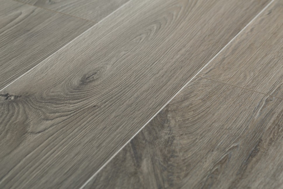 3885 Fado Oak 3885 Fado Oak