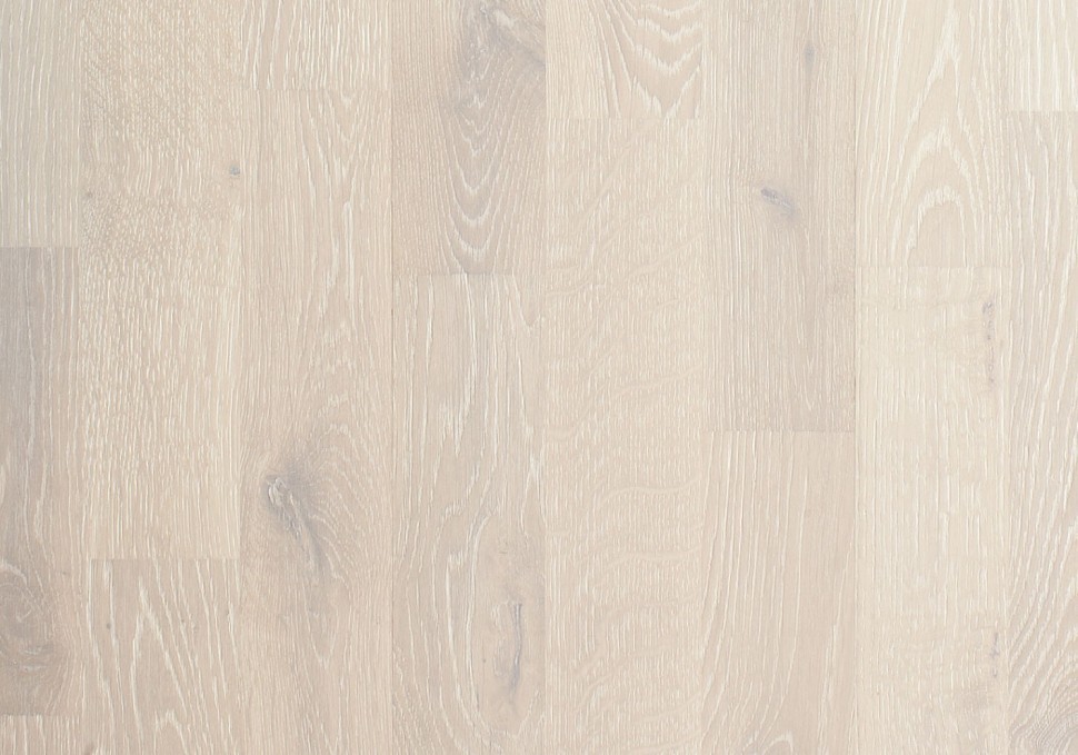 Дуб Ракушка (Shell) Дуб Ракушка (Shell)