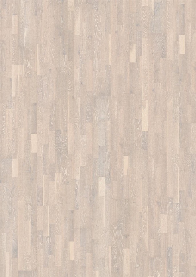 Дуб Иней (Rime) Дуб Иней (Rime)