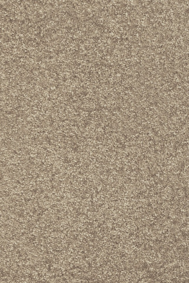 Ковролин Masquerade Porzia 35 Ковролин Masquerade Porzia 35