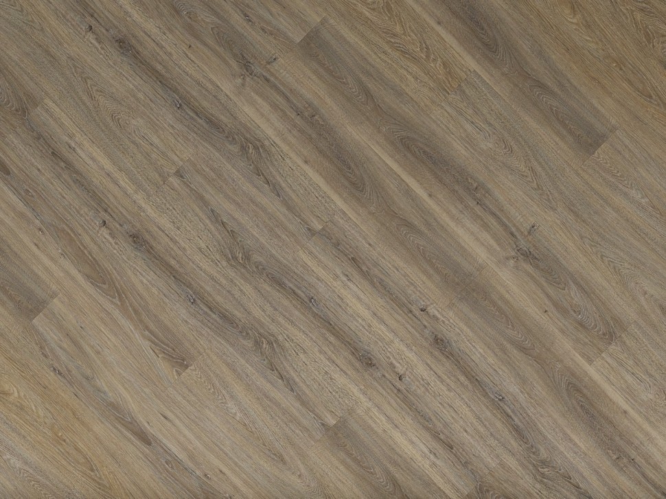 SPC 8814 Дуб европейский SPC 8814 Дуб европейский