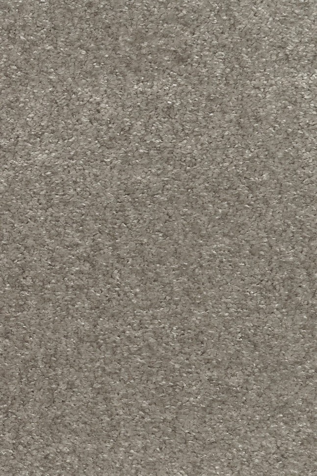 Ковролин Masquerade Costanza 36 Ковролин Masquerade Costanza 36