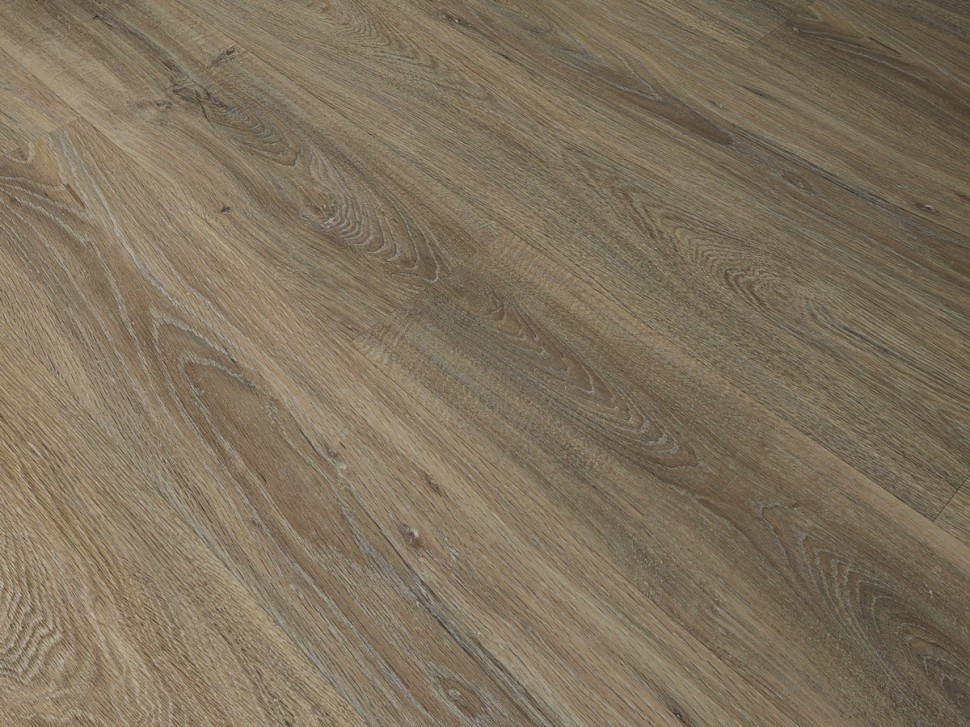 SPC 8814 Дуб европейский SPC 8814 Дуб европейский