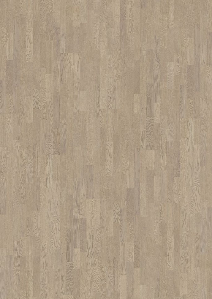 Дуб Сумерки (Twilight) Дуб Сумерки (Twilight)