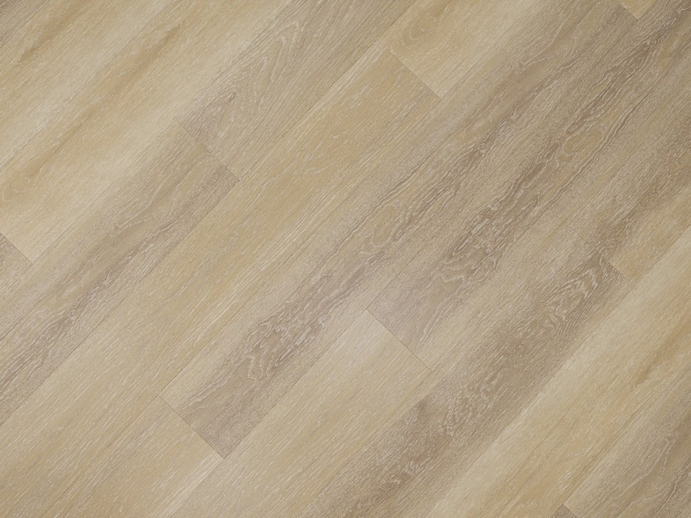 SPC 6614 Дуб базальтовый