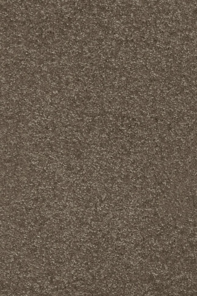 Ковролин Masquerade Porzia 42 Ковролин Masquerade Porzia 42