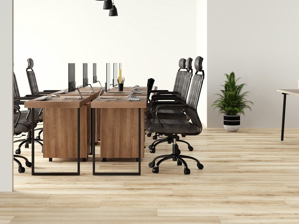 833 Windsor Oak 833 Windsor Oak