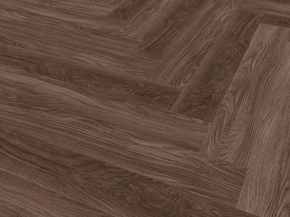 Дуб Тебердин