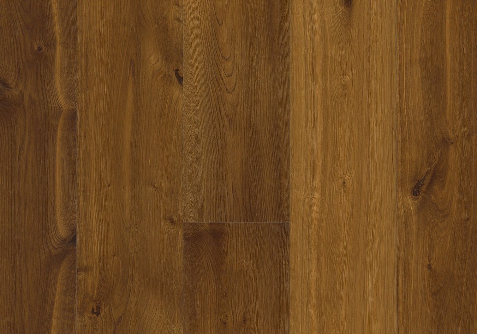 Дуб Севеде (Sevede)