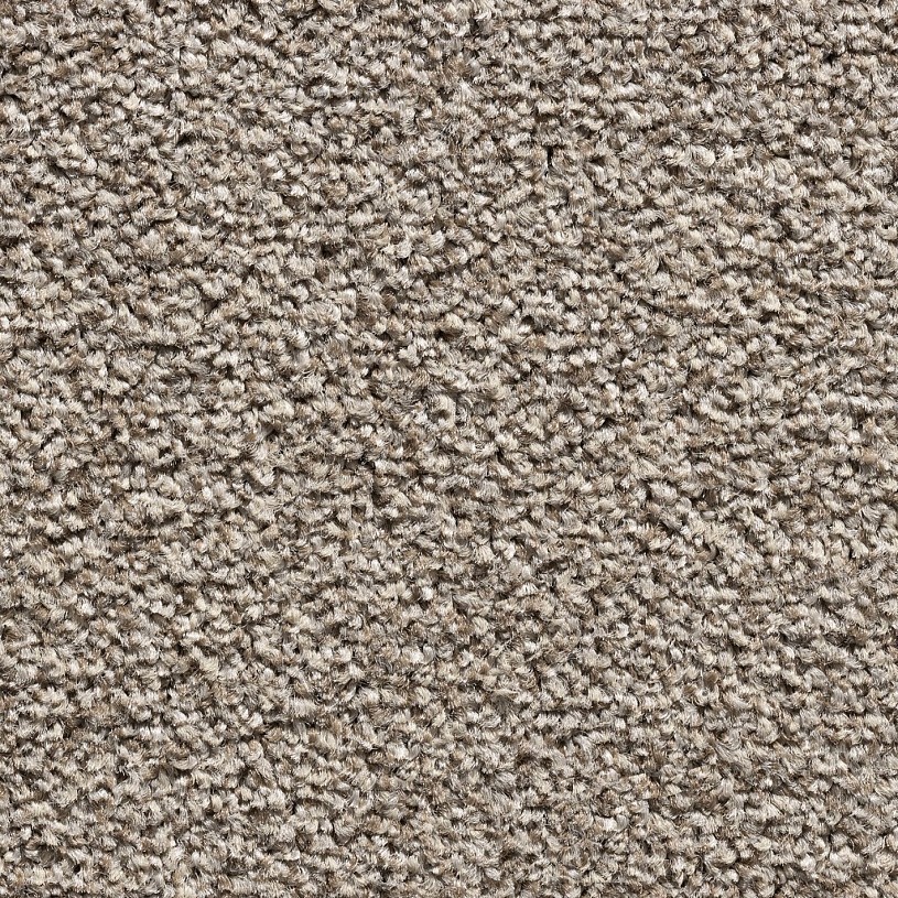 Ковролин Pandora Broige Ковролин Pandora Broige