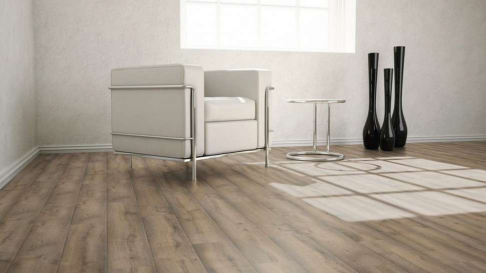 Дуб Земляной Дуб Земляной